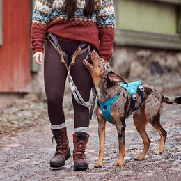 Hurtta Safeguard Harness Eco Sicherheitsgeschirr für Hunde Blackberry Schwarz 40-50 cm – Bild 1 von 6