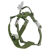 Produktbild von Hurtta Seeker Hundegeschirr für Welpen Grün mit bluesign® Polyester und wasserdichter Funktion Größe S 40-50 cm
