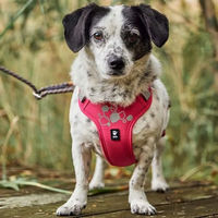 Produktbild von Hurtta Weekend Warrior Hundegeschirr II ECO Rosa 65-80 cm