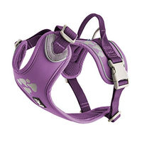 Produktbild von Hurtta Weekend Warrior Hundegeschirr Johannisbeere 40-45 cm