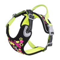 Produktbild von Hurtta Weekend Warrior Neon Hundegeschirr II Licorice wasserabweisend aus Polyester