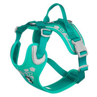 Produktbild von Hurtta Weekend Warrior Sportgeschirr für große Hunde, Grün/Türkis, XL, 100-120 cm, wasserabweisend und Öko-Tex zertifiziert