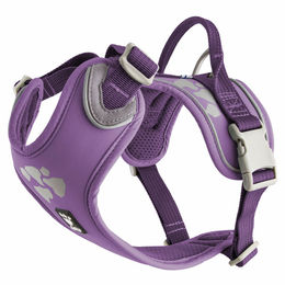Produktbild von Hurtta Weekend Warrior Sportgeschirr für Hunde lila wasserdicht verstellbar 60-80 cm