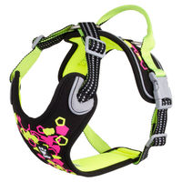 Produktbild von Hurtta Weekend Warrior Sportgeschirr für Hunde Neon Lakritze Größe M 45-60 cm wasserdicht