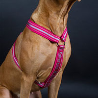Produktbild von Hurtta Y-Geschirr Padded Neopren Rot für Hunde Größe Groß 120 cm