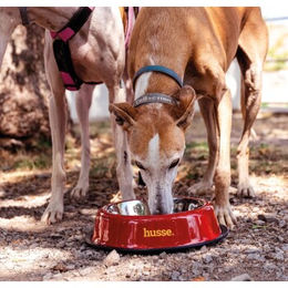 Produktbild von husse Gourmet Hähnchenpastete Huhn ohne Farb- und Aromastoffe sowie Konservierungsstoffe 300g
