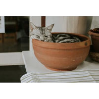 Produktbild von Husse Katzenfutter Makrele Stückchen in Gelee ohne Farb- und Aromastoffe sowie Konservierungsstoffe für alle Katzen 1000g