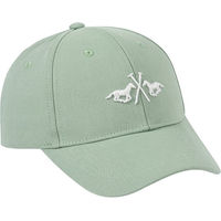 Produktbild von HV Polo Baseballkappe HVPCelia in Powder Blue