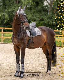 Produktbild von HV Polo Dressurgamaschen HVPSkye 2er Set Neopren Titanium Grau
