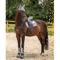 Produktbild von HV Polo Dressurgamaschen HVPSkye 2er Set Neopren Titanium Grau