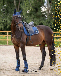 Produktbild von HV Polo Dressurgamaschen Skye 2er Set Navy Blau aus Polyester
