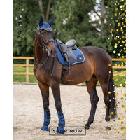 Produktbild von HV Polo Dressurgamaschen Skye 2er Set Navy Blau aus Polyester