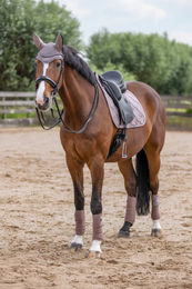 Produktbild von HV Polo Dressurschabracke HVPJenna Espresso Braun