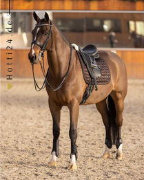 Produktbild von HV Polo Dressurschabracke HVPMarena in Mocca Braun aus Polyester