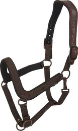 HV Polo Essential Halfter für Pferde – Bild 1 von 1