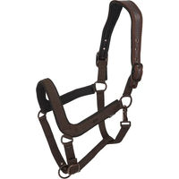 Produktbild von HV Polo Essential Halfter für Pferde