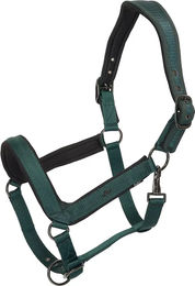 HV Polo Essential Halfter für Pferde – Bild 1 von 1