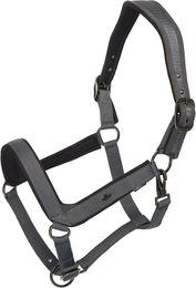 HV Polo Essential Halfter für Pferde – Bild 1 von 1