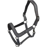 Produktbild von HV Polo Essential Halfter für Pferde