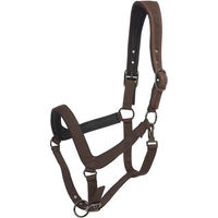 Produktbild von HV Polo Essential Pferdehalfter Full aus Neopren in Braun