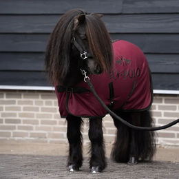 HV Polo Fleecedecke für Pferde Sasha – Bild 1 von 1