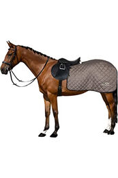 HV Polo Franka Nierendrecke für Pferde aus Wolle in Blau oder Braun Größe S – Bild 1 von 3