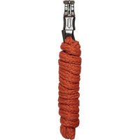 Produktbild von HV Polo Führstrick mit Panikhaken Pumpkin