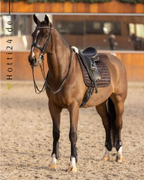 Produktbild von HV Polo Gamaschen Franka Mocca 4er Set Braun aus Kunststoff