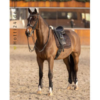 Produktbild von HV Polo Gamaschen Franka Mocca 4er Set Braun aus Kunststoff