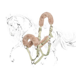 Produktbild von HV Polo Halfter HVPClassic Brasil aus Polyester in Beige