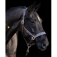 Produktbild von HV Polo Halfter HVPIconic aus Leder in Braun