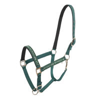 Produktbild von HV Polo Halfter HVPNena aus Neopren in Duck Green