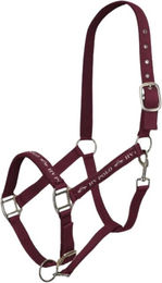 HV Polo Halfter HVPNena für Shetty in Wine – Bild 1 von 1