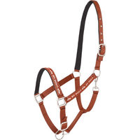 Produktbild von HV Polo Halfter HVPNena für Warmblut in Pumpkin