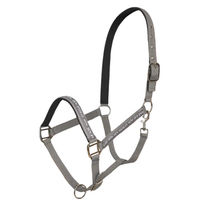Produktbild von HV Polo Halfter HVPNena Stone aus Neopren in Beige und Grau
