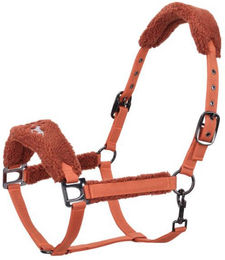 HV Polo Halfter HVPTeddy Pumpkin für Warmblut Pferde – Bild 1 von 1