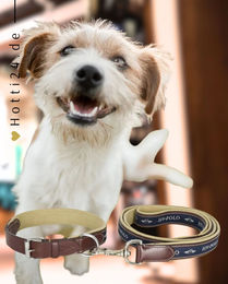 Produktbild von HV Polo Halsband und Leine Iconic Brown aus Leder