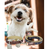 Produktbild von HV Polo Halsband und Leine Iconic Brown aus Leder