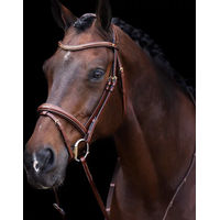 Produktbild von HV Polo Kombinierte Reittrense Legacy aus Leder in Braun für Vollblut