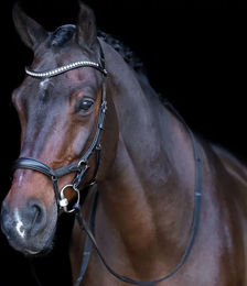 Produktbild von HV Polo Legacy Anatomique Deluxe Trense aus Leder für Ponys in Braun