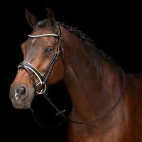 Produktbild von HV Polo Legacy deluxe Leder Trense Schwarz Größe M