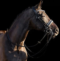 Produktbild von HV Polo Legacy deluxe Zaumzeug aus Leder für Vollblut in Schwarz