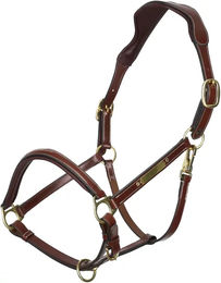 HV Polo Legacy Lederhalfter für Pferde in Braun – Bild 1 von 2