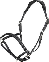 HV Polo Legacy Lederhalfter für Pferde in Schwarz – Bild 1 von 2