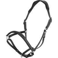Produktbild von HV Polo Legacy Lederhalfter für Pferde in Schwarz