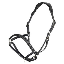 HV Polo Legacy Lederhalfter für Ponys in Schwarz – Bild 1 von 2