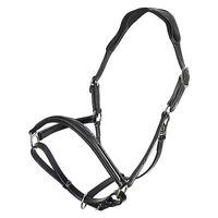 Produktbild von HV Polo Legacy Lederhalfter für Ponys in Schwarz