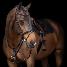 HV Polo Legacy Martingal aus Leder für Pferde in Cob Größe – Bild 1 von 1
