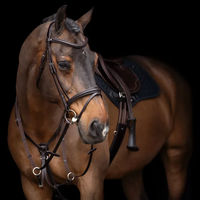 Produktbild von HV Polo Legacy Martingal für Pferde