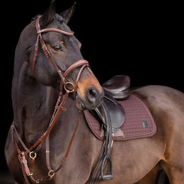 Produktbild von HV Polo Legacy Martingal für Pferde aus Leder in Braun für Vollblut